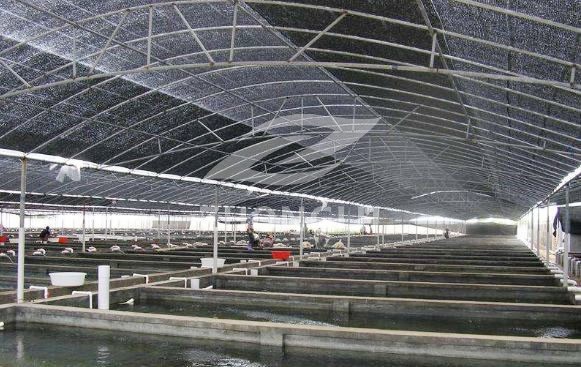空气悬浮增氧机助力东山水产养殖节能改造